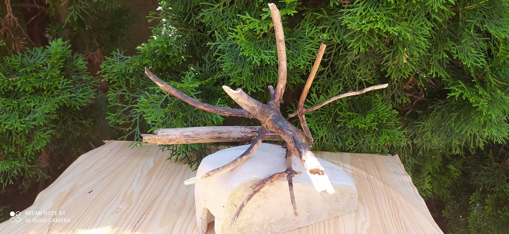 Grota z korzeniem do akwarium