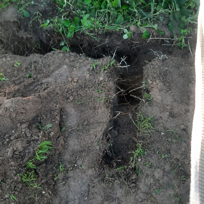 Verde & Vida – Serviços de Jardinagem