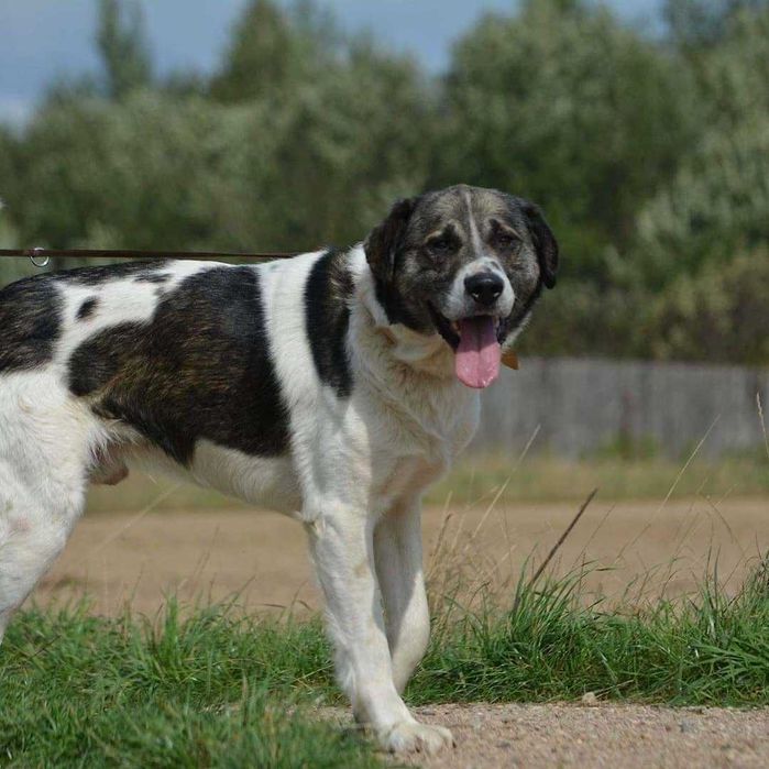 Pokochaj przemiłego Bena!