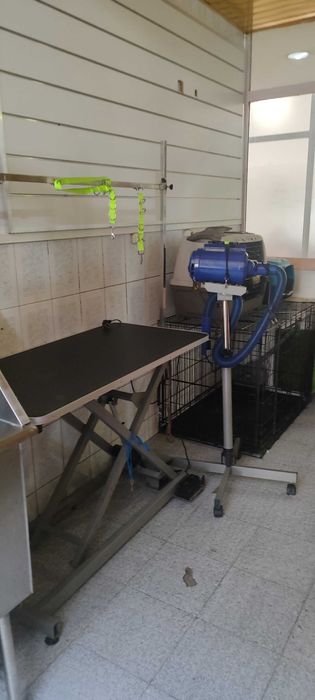 Aluga se espaço para banhos e tosquias já com todo o equipamento