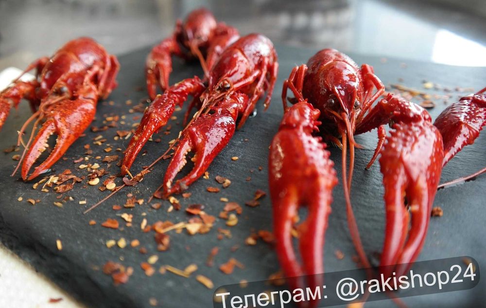 Найсмачніші раки з ікрою у місті. Є в наявності. Доставка.
