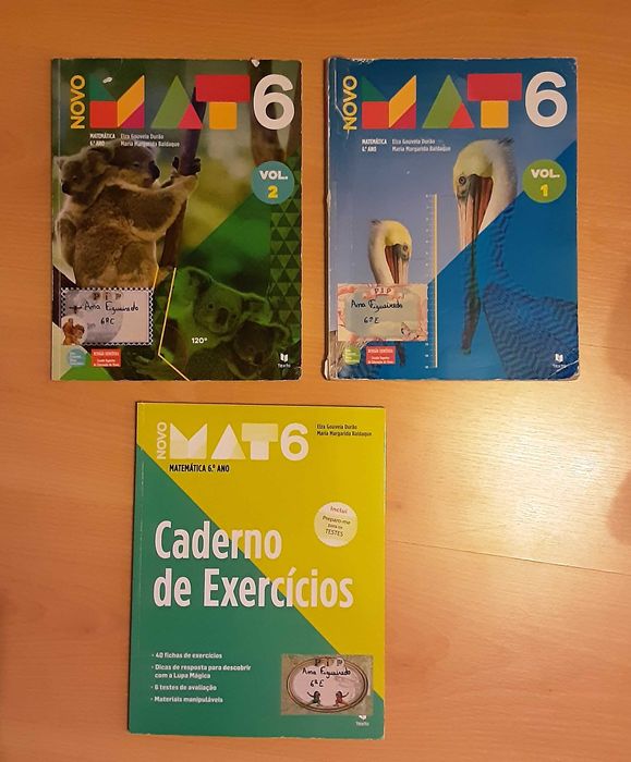 Manuais Escolares e Cadernos de Atividades - 6º Ano