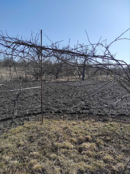 Продам дачу Нова Павлівка