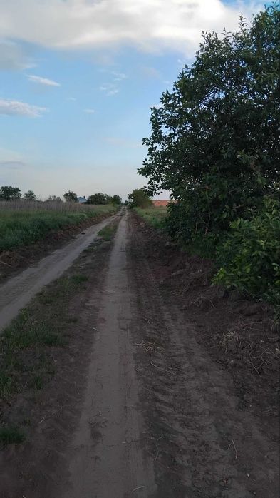 Продаж земельної ділянки в с. Слобода по вулиці Лісовій