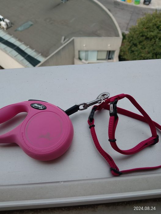 Trela flexi pequeno porte