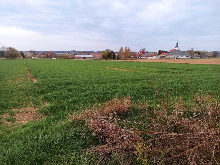 Działki budowlane Kwielice – 3 działki przy asfaltowej drodze | media | blisko Głogowa - Widok 4