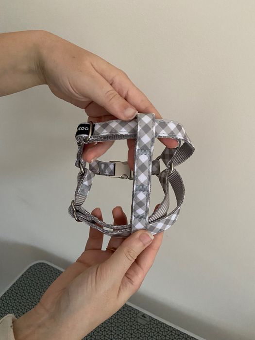 Peitoral ajustável novo para pet pequeno ou médio