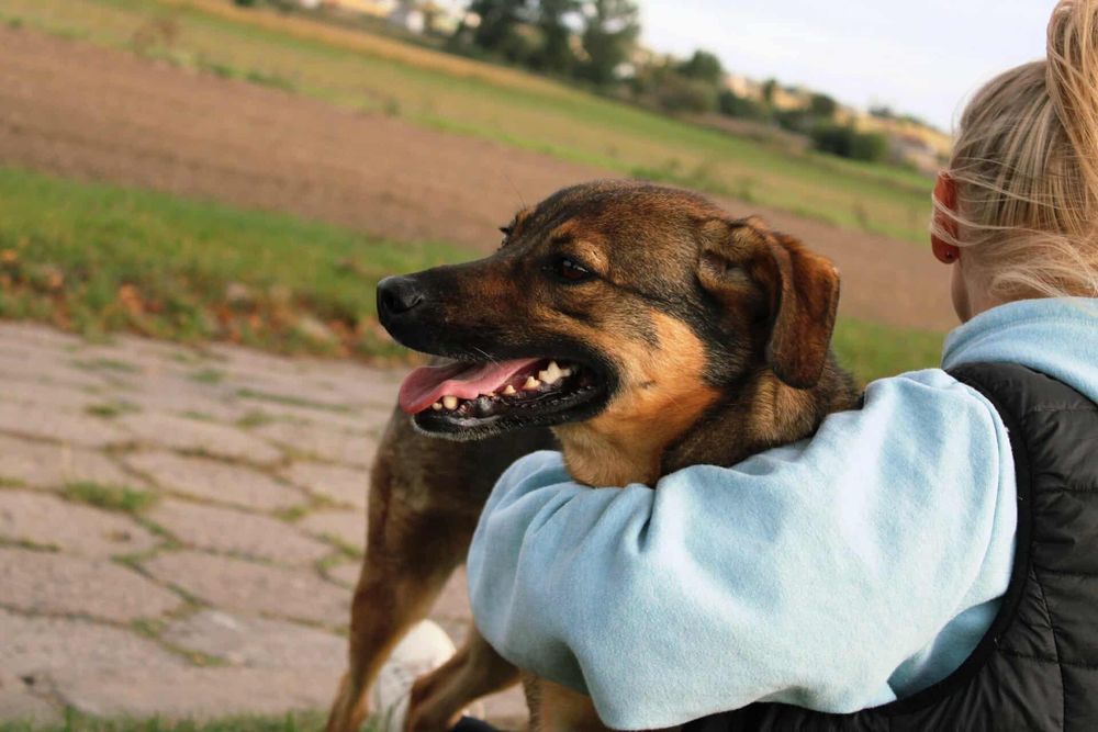 DO ADOPCJI – Kama szuka domu