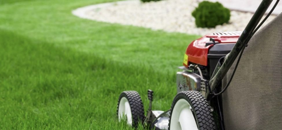 Serviços de Jardinagem Limpeza de Terrenos