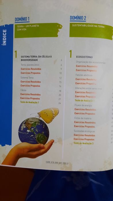 Preparar os Testes/ 8°Ano  - CIÊNCIAS NATURAIS - NOVO!