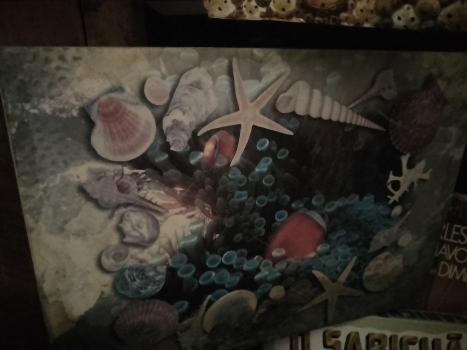 My Model Doll Design -Jogo - Educa - 10E - Peça Borboleta 8E  Desde 2E