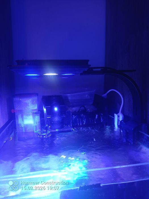 Lampa maxspect lm l165 65w