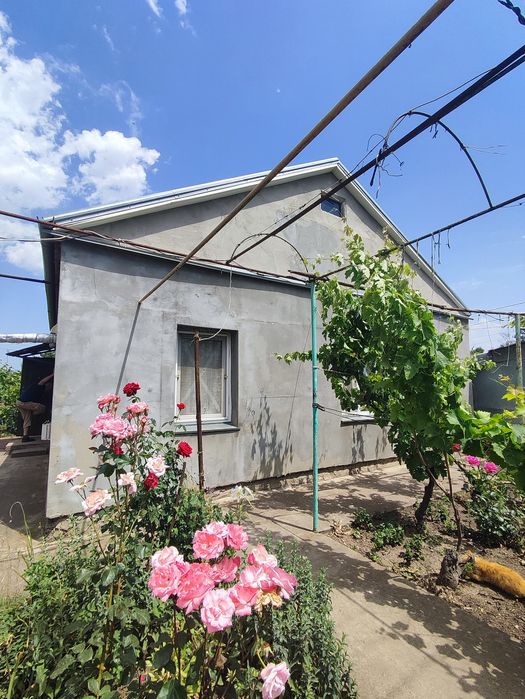 Продам 2 Дома с Газом на Одном Участке! В Светлом