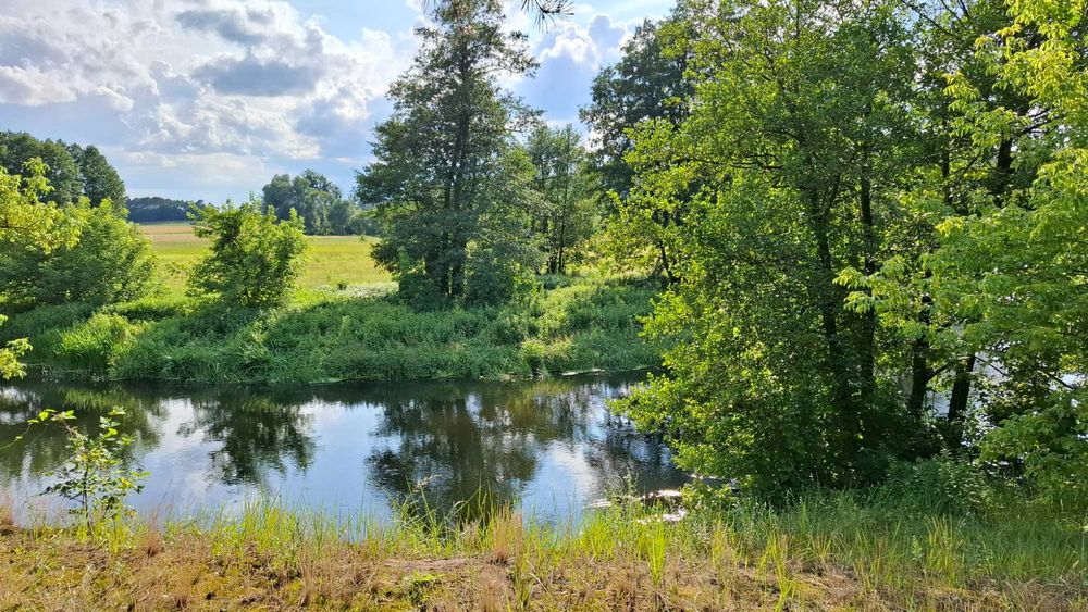 Działka 3,05 ha przy rzece Drwęca, łąka, pastwisko, las, ziemia orna