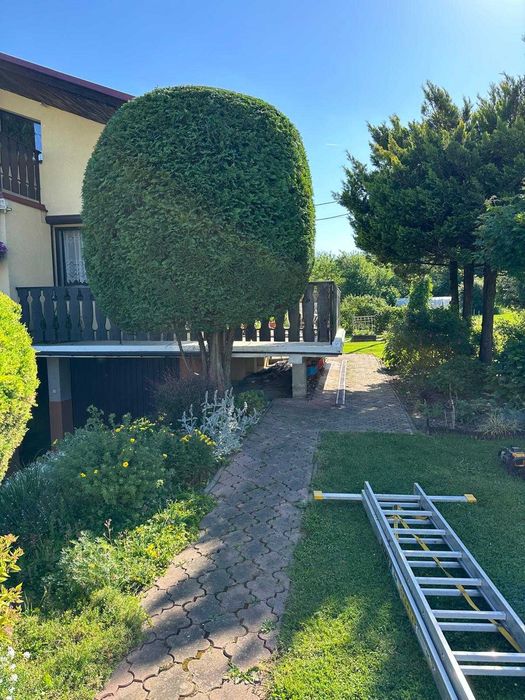 Zakładanie i pielęgnacja ogrodów firma TRAWOGRÓD