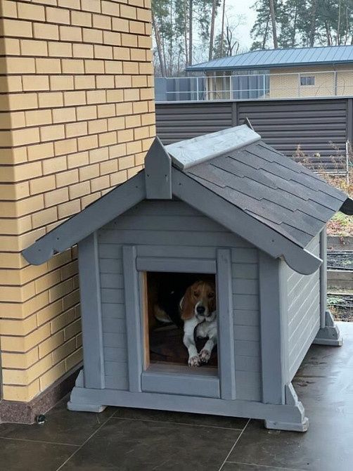 Буда будка для собаки пса