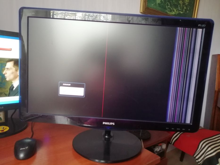 Монітор Philip 25,6 д