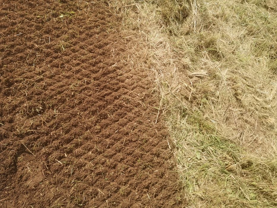 Usługi glebogryzarką separacyjną