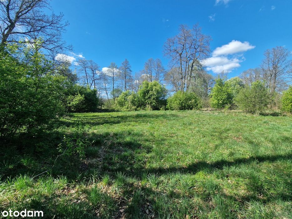 Działka rolna 4600 m² (okolica letniskowa) Sekłak blisko rzeki Liwiec
