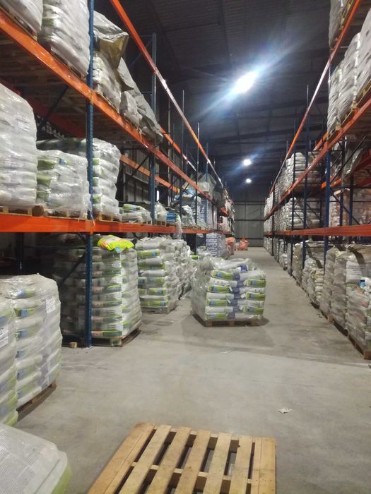 Насіння кукурудзи ДКС 3972 ФАО 300 Monsanto Монсанто