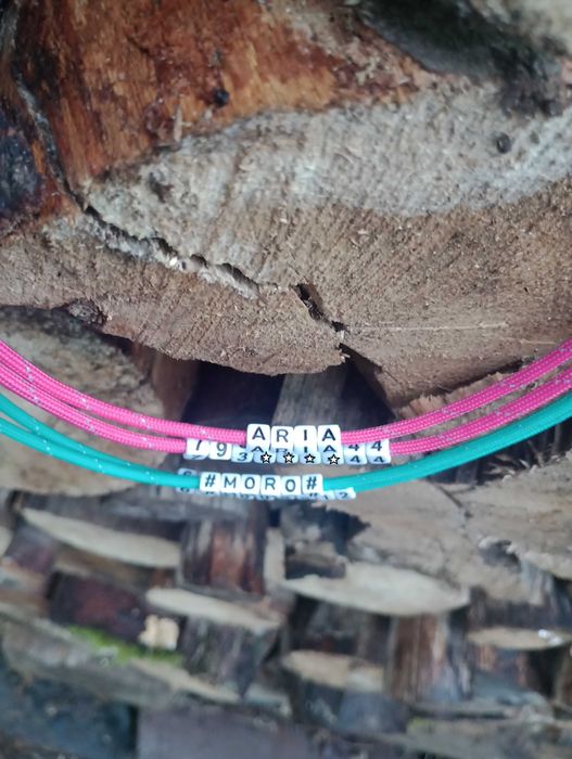 Adresówka odblaskowa dla psa