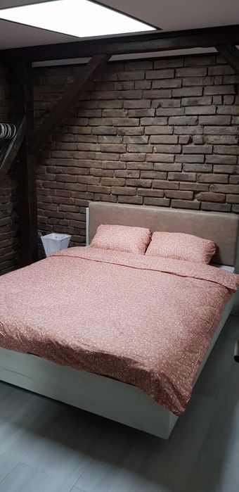 Двокімнатна квартира-лофт в центрі міста з видом на гай