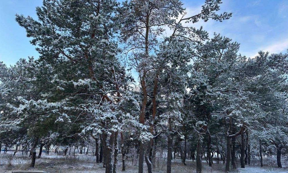 Продається  будинок у м.Самар ( Новомосковськ )