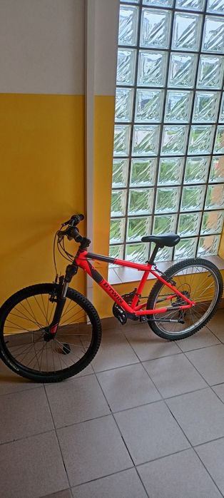 Rower Rockrider 500 `24