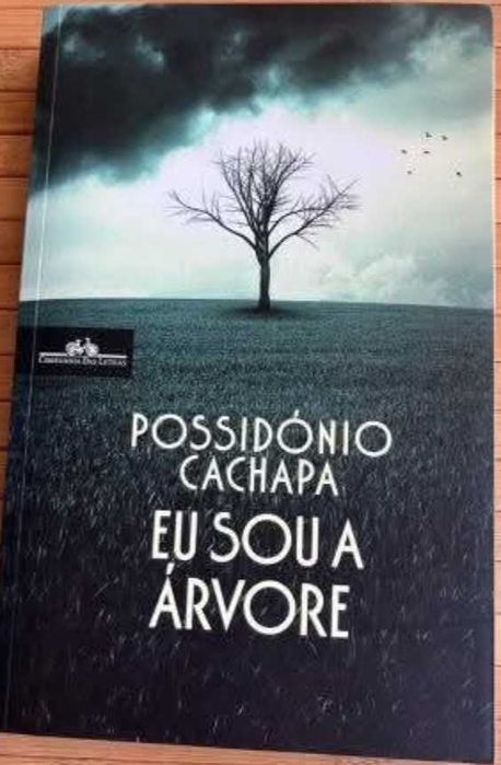 Conjunto de livros usados bom preço ‼️