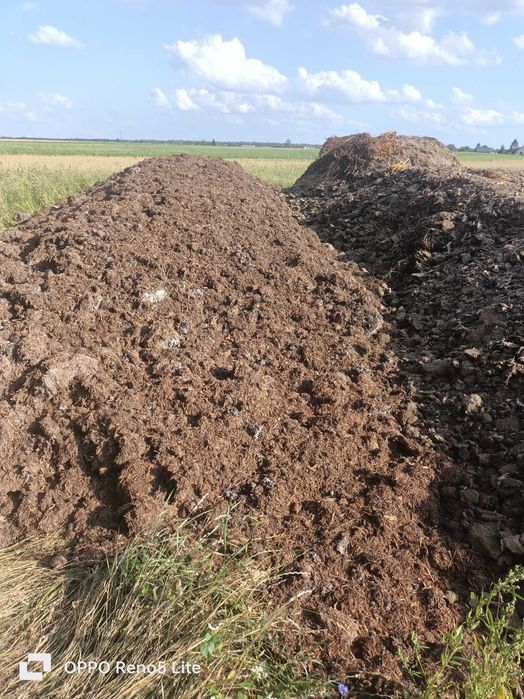 Kompost popieczarkowy