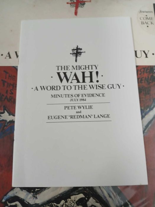 Vinil Wah! - A Word To The Wise Guy