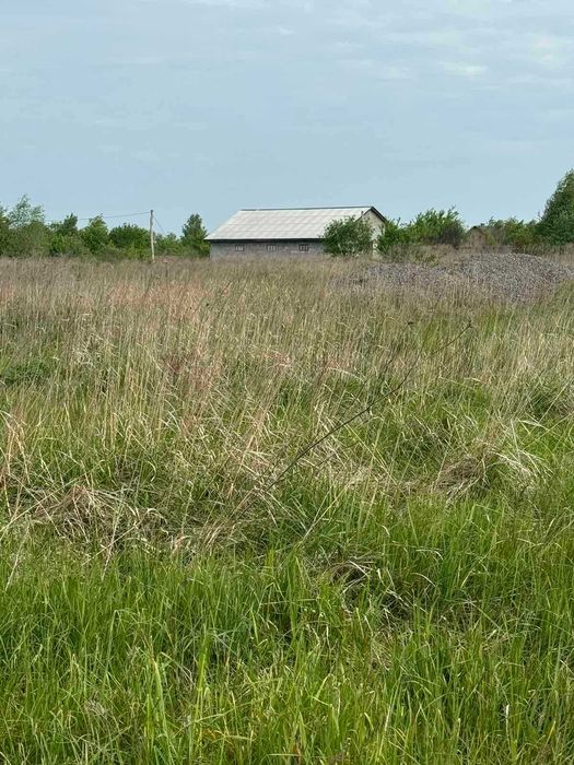 Земельна ділянка, с. Пили