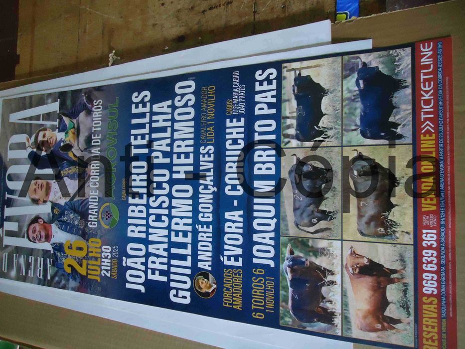 Toiros - Cartazes de Montra 5