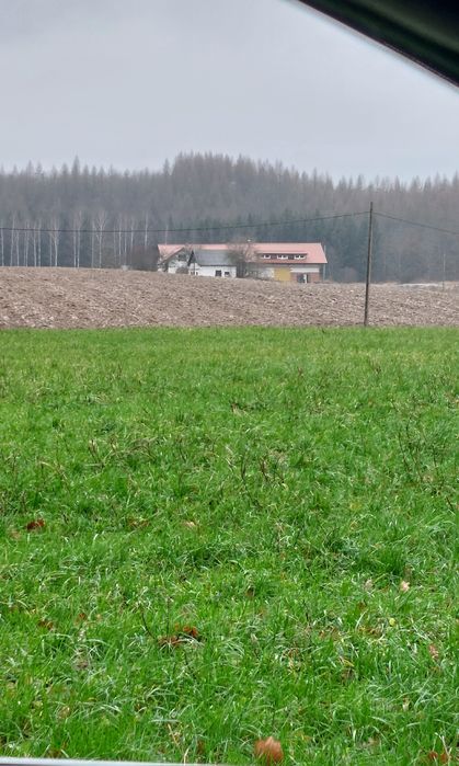 Sprzedam gospodarstwo rolne