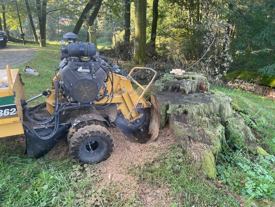 Frezowanie Pni / Usuwanie Karp / Karczowanie drzew / Frezarka do Pni