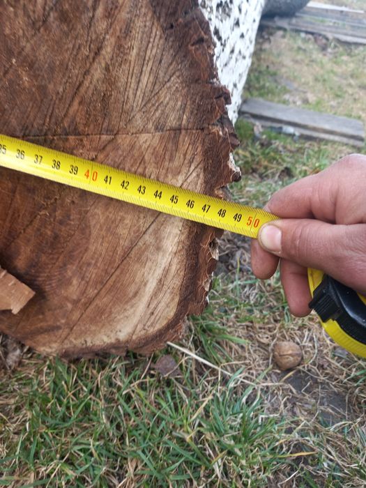 Продам горіх.негнилий