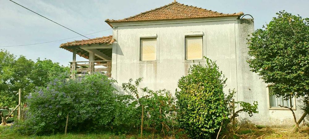 Quinta com 10 hectares, Cernache do Bonjardim, no Centro de Portugal.