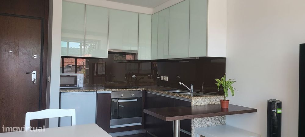Apartamento T1 Mobilado e Equipado