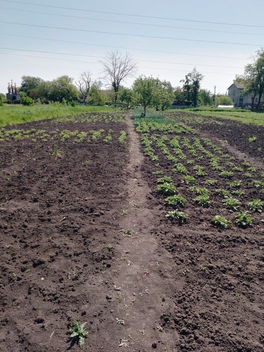 Продам земельну ділянку
