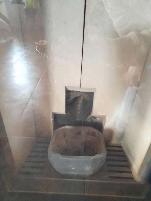 Salamandra a pellets