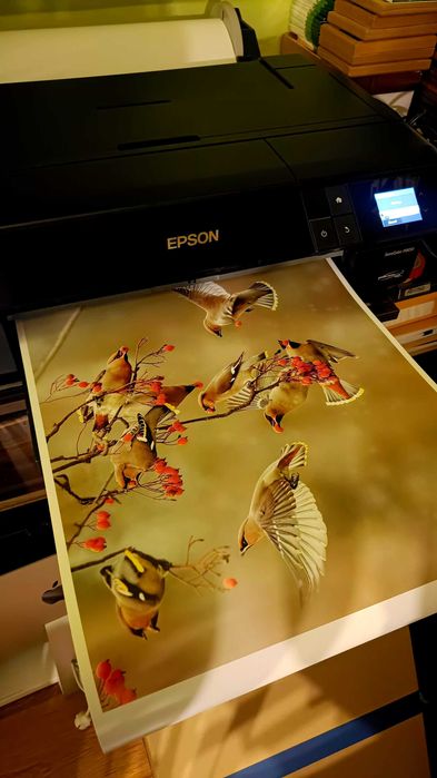 Druk A2 - FOTO/ZDJĘĆ - Epson full kolor