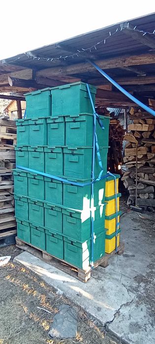 Ule, pasieka, cały sprzęt, likwidacja aktualizacja 2 rodziny Dużo sprzedane Weselne odkładowe pozostały