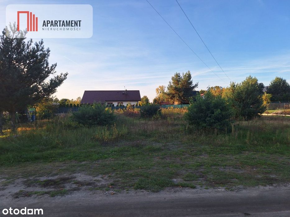Działka Dębina spokojna okolica - Widok 2