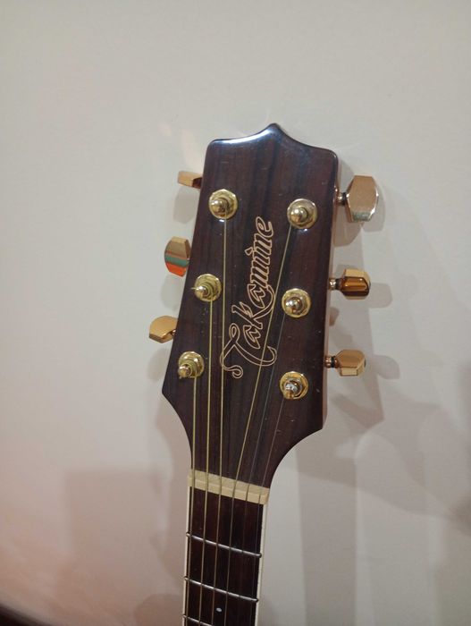 Takamine G Series