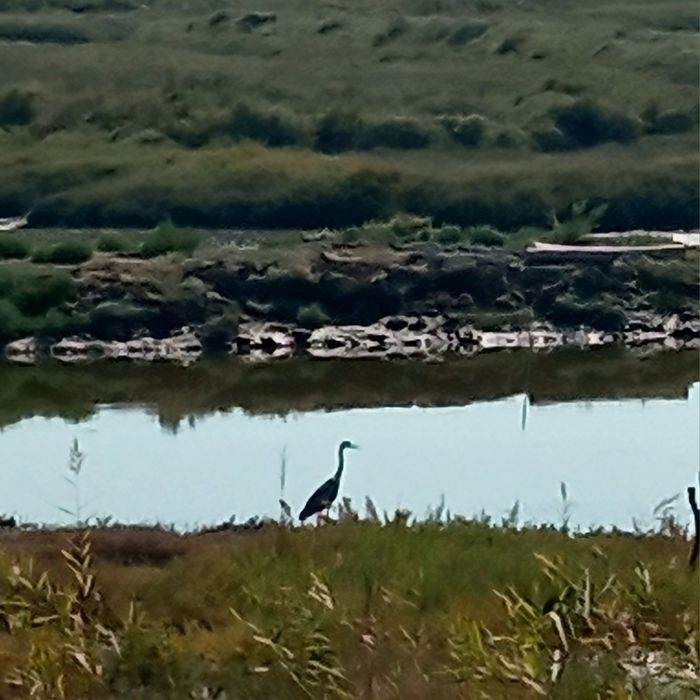 Quarto individual despesas incluídas