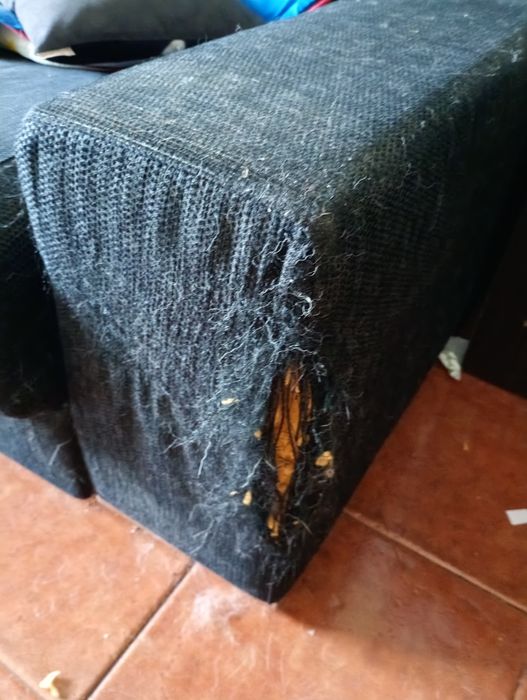 Sofá de sala ou outra divisão