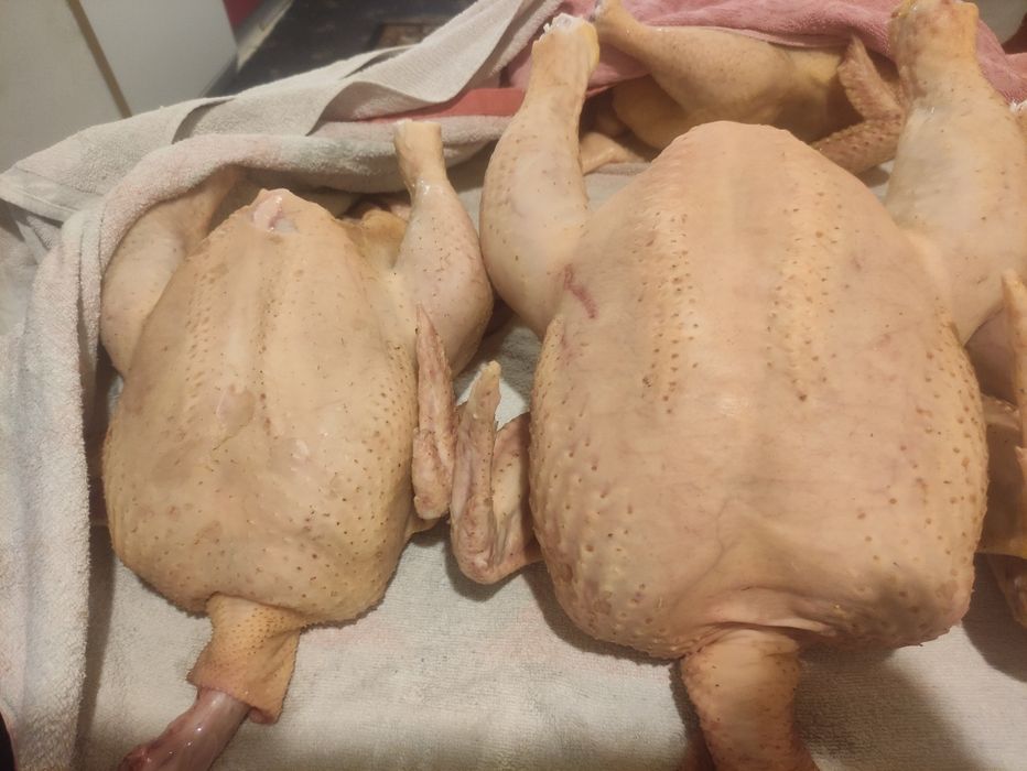 На 14.02.26 добові несучка R3А