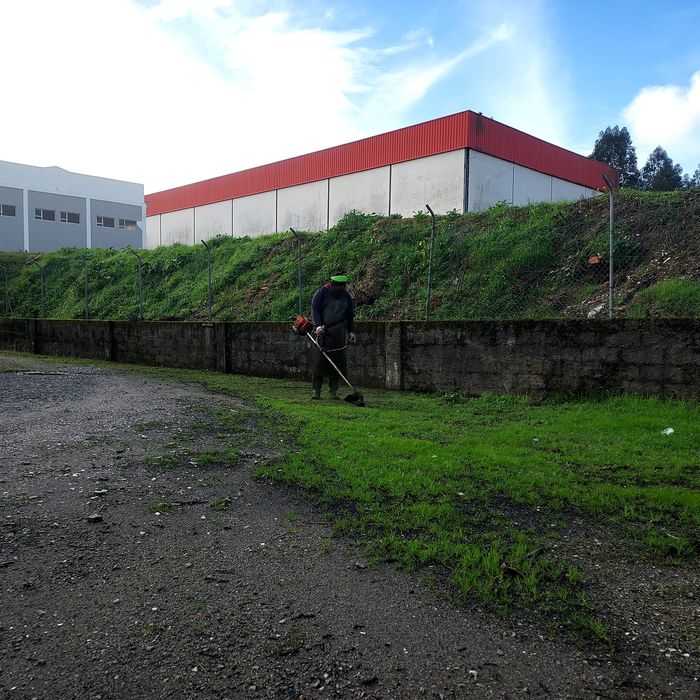 Jardineiro profissional