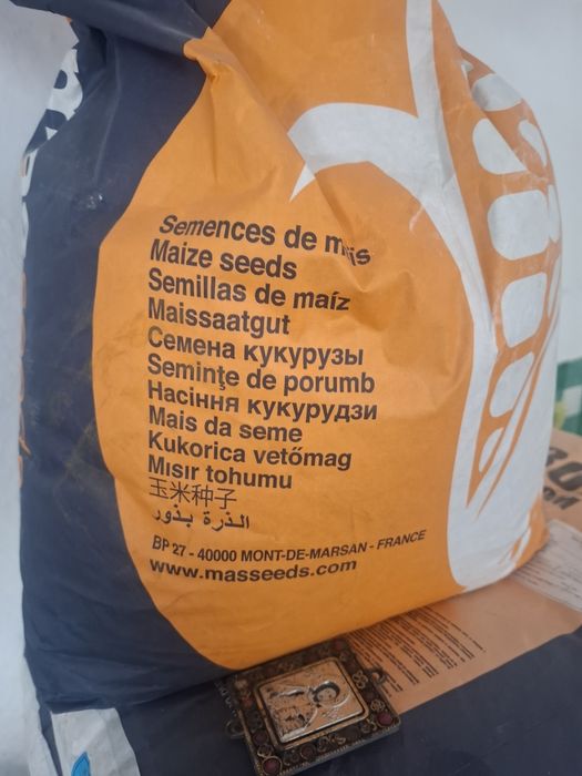 Продам насіння соняшнику та кукурудзи