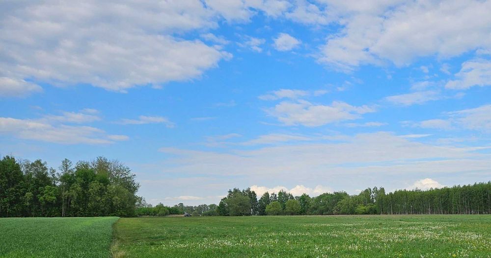 Działka rolna 5,4ha z możliwością zabudowy zagrodowej - Widok 3